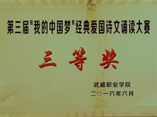 ”我的中國(guó)“夢(mèng)經(jīng)典愛國(guó)詩(shī)文誦讀大賽三等獎(jiǎng)